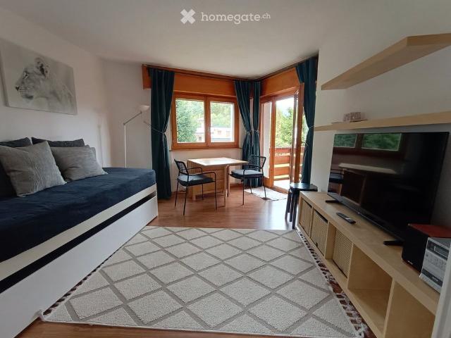 1 Zimmer, 39 m²