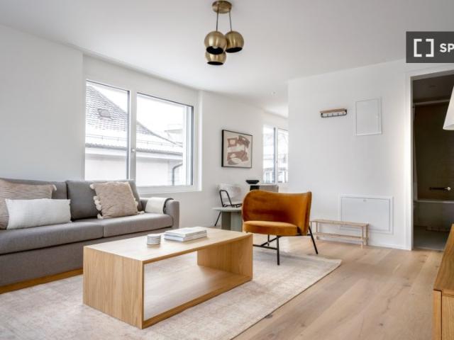 1 Zimmer Wohnung in Zürich zu vermieten