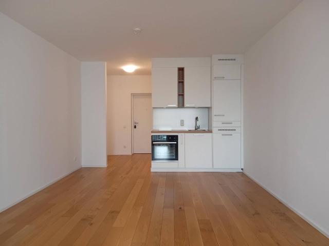 1 Zimmer Wohnung verfügbar ab 01.08.2026 | 3m² Loggia | Linz Urfahr