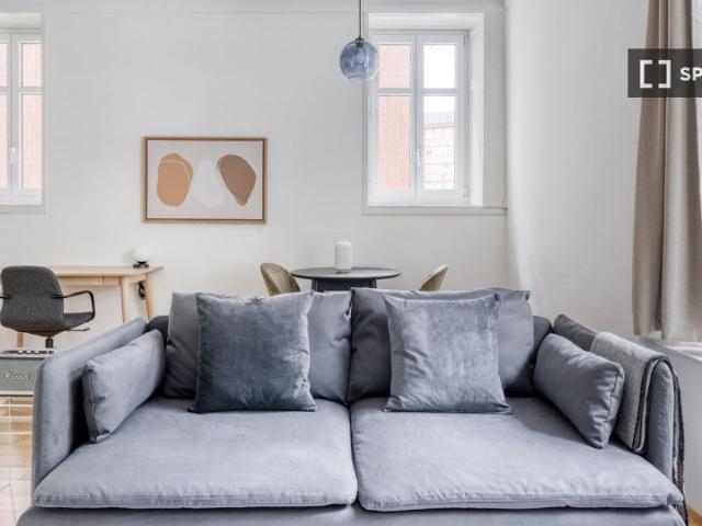 1 Zimmer Wohnung zu vermieten in Werd, Zürich