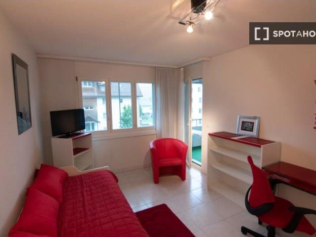 1 Zimmer Wohnung zu vermieten in Buchs, Zürich