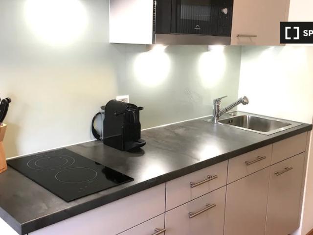 1 Zimmer Wohnung zu vermieten in Hochschulen, Zürich