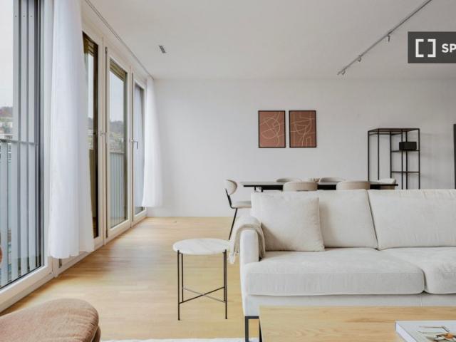 1 Zimmer Wohnung zur Miete in Escher Wyss, Zürich
