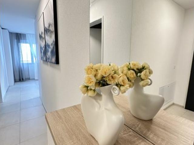 1 Zimmer Wohnung zur Miete in Graswinkel, Zürich