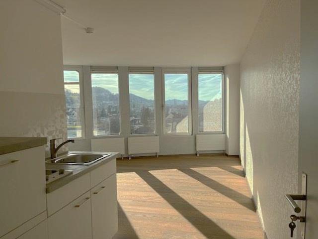 1 Zimmer Wohnung