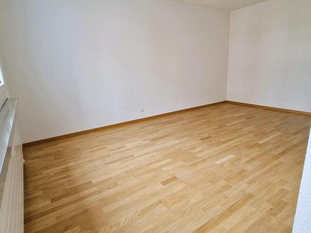 1 Zimmer Wohnung