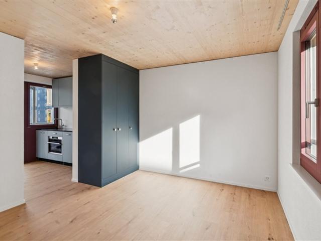 1 Zimmer Wohnung, 9000 St. Gallen