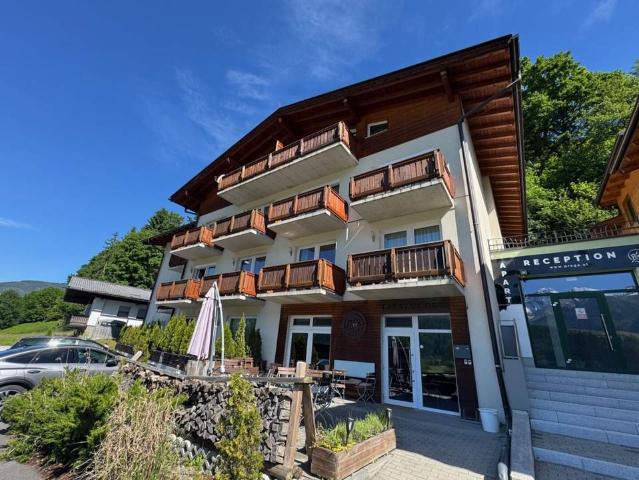 1 Zimmer Apartment in Piesendorf mit touristischer Nutzung
