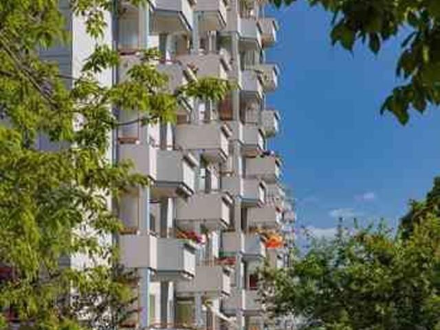 1 zimmer etagenwohnung mit balkon zur miete in dresden prohlis nord