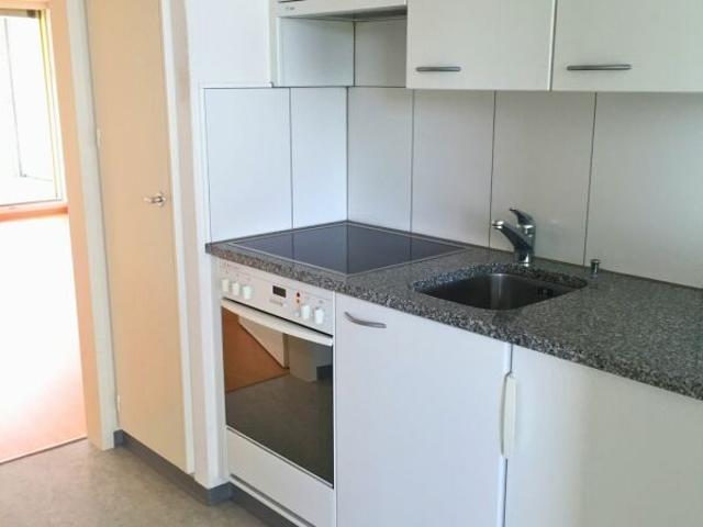 1 Zimmerwohnung mit grossem Balkon