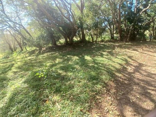 1 041 m² Land available in Shelly Beach