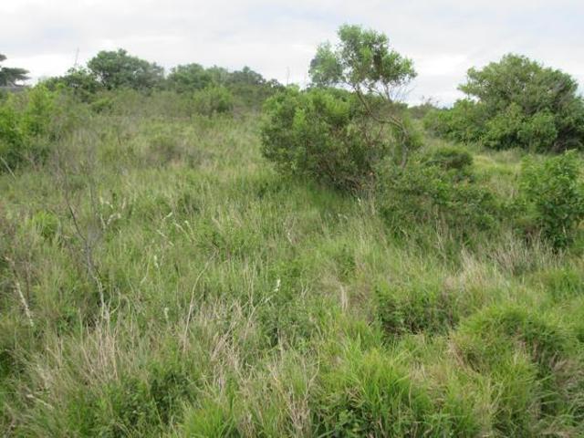 1 048 m² Land available in Forest Downs