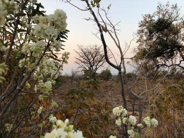 1 048 m² Land available in Wigwam