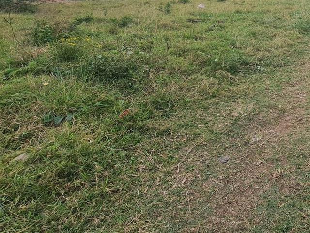 1 050 m² Land available in Birdswood