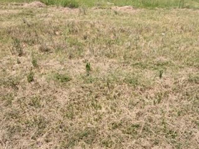 1 050 m² Land available in Birdswood