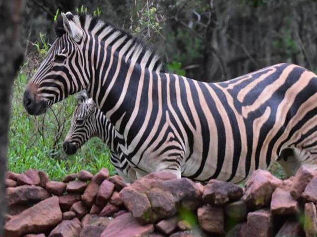 1 050 m² Land available in Koro Creek Golf Estate