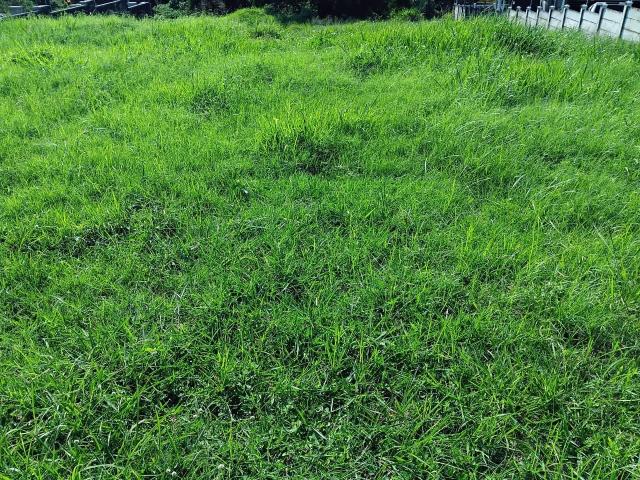 1,050m² Vacant Land For Sale in Birdswood