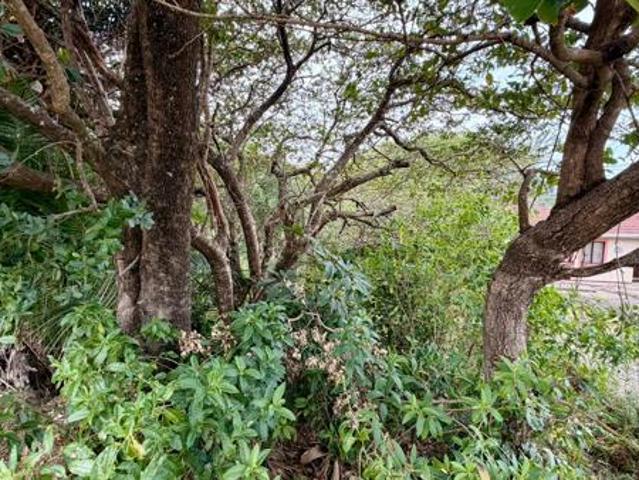 1 055 m² Land available in Hibberdene