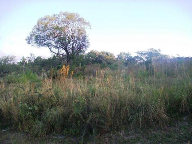 1 058 m² Land available in Margate