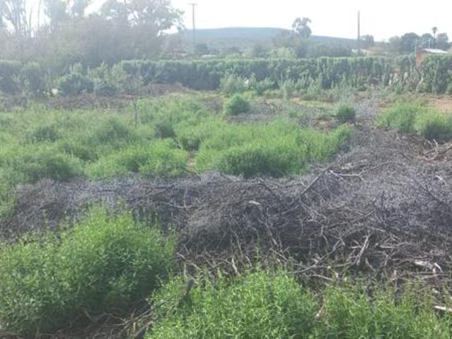 1 059 m² Land available in Willowmore