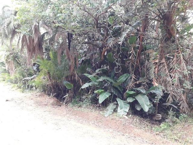 1 060 m² Land available in Leisure Bay