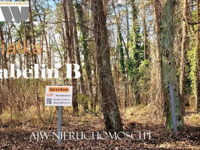 1 062 m², Izabelin B