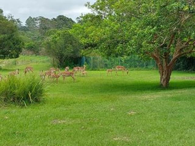 1 066 m² Land available in Kwelera