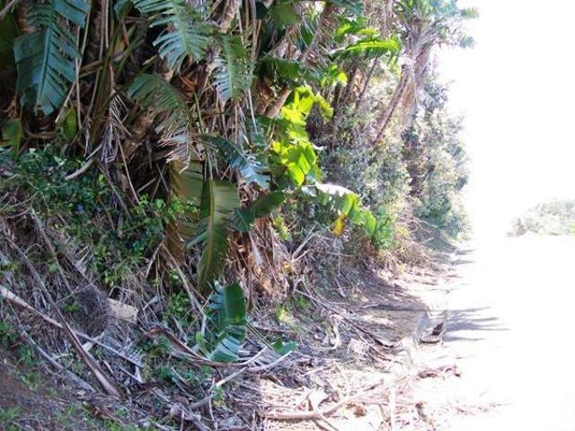 1 066 m² Land available in Trafalgar