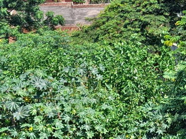 1 073 m² Land available in La Mercy