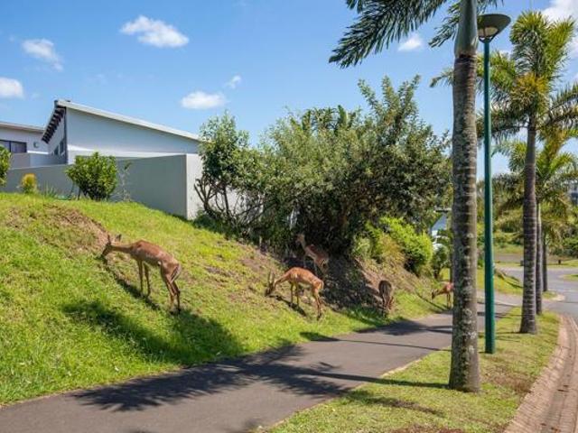 1 071 m² Land available in Palm Lakes Estate