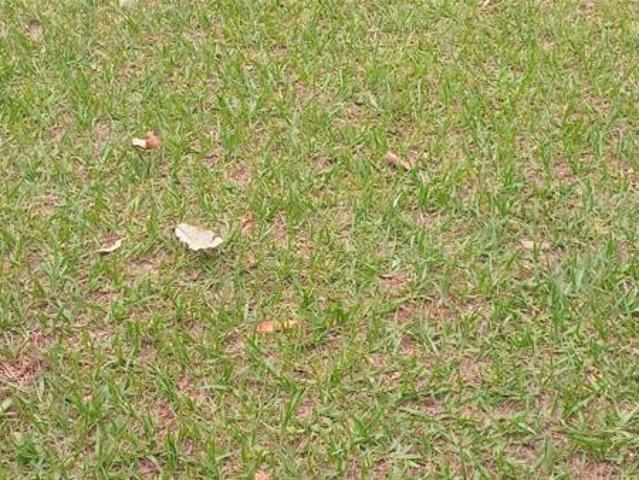 1 072 m² Land available in Ngagane