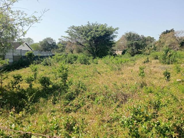 1 074 m² Land available in Birdswood