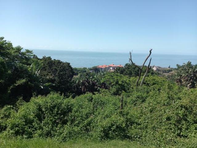 1 080 m² Land available in Zinkwazi Beach