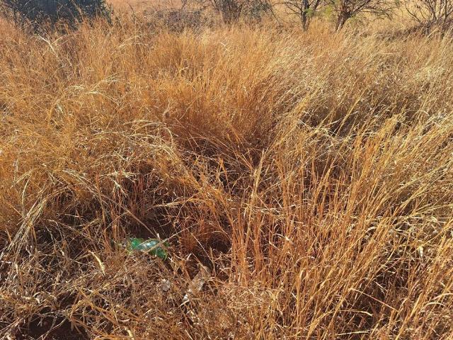 1 081 m² Land available in Chroom Park