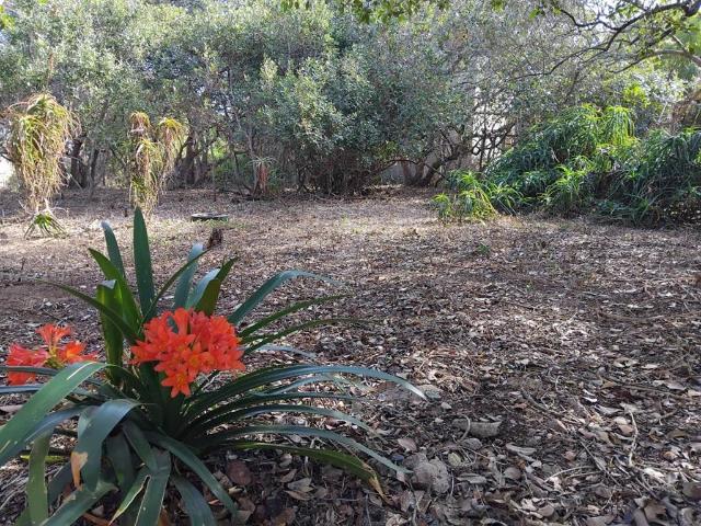 1 088 m² Land available in Reebok