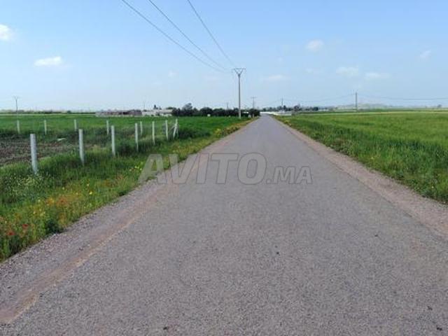 1.08 ha titré sur la route goudronnée