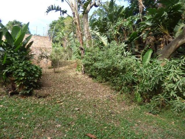 1 093 m² Land available in Trafalgar