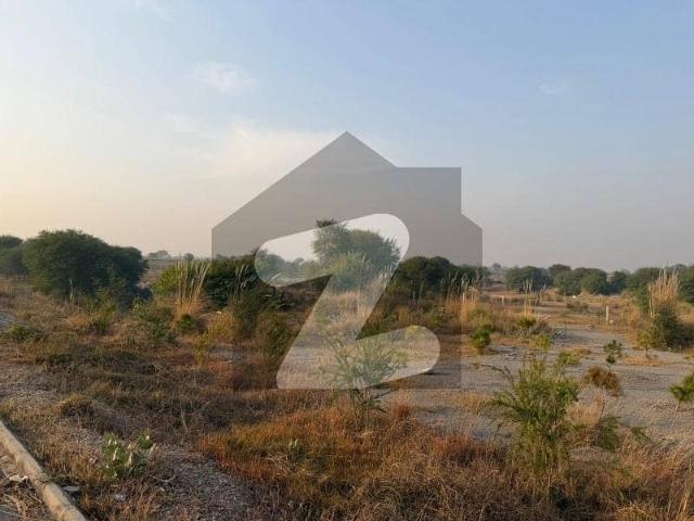 1,000 Kanal Total Compact Land Thallian Interchange Rawalpindi Agricultural Land For Sale