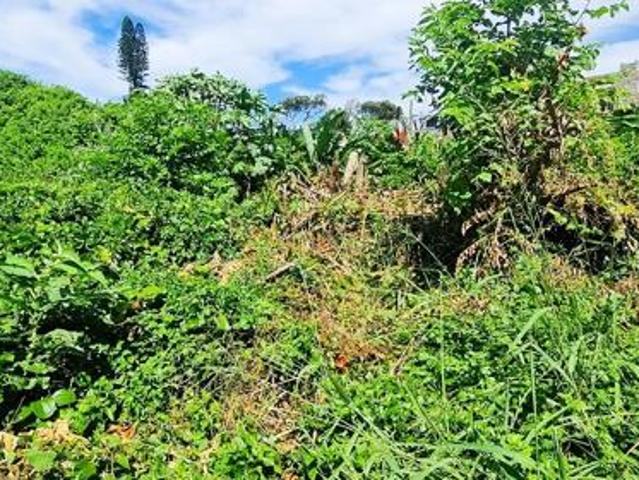 1 000 m² Land available in Mtwalume