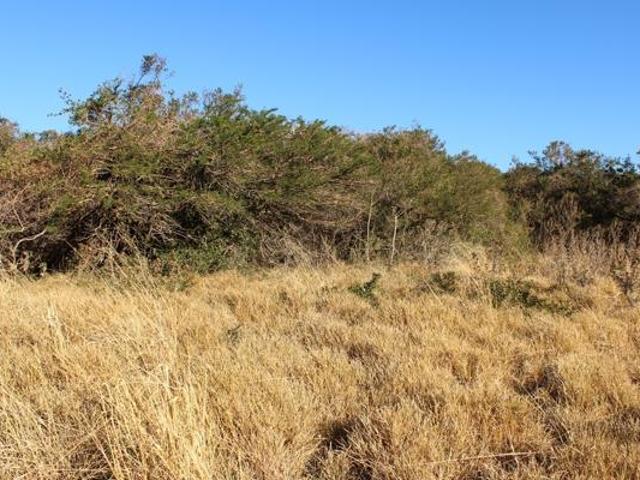 1 000 m² Land available in Khamanga Bay