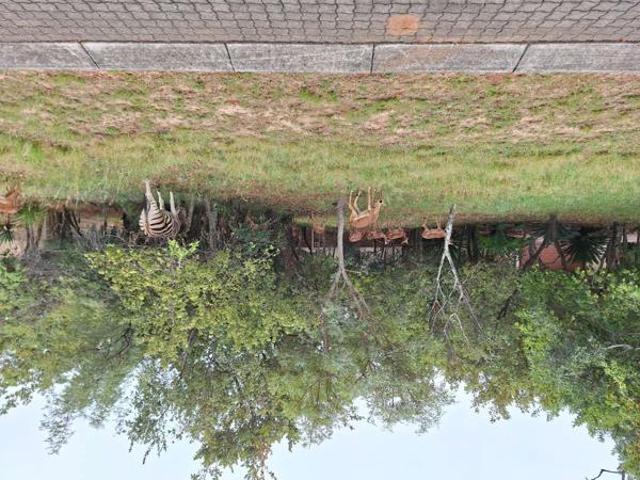 1 000 m² Land available in Koro Creek Golf Estate