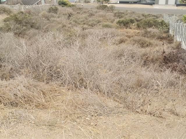 1 000 m² Land available in Saldanha Heights