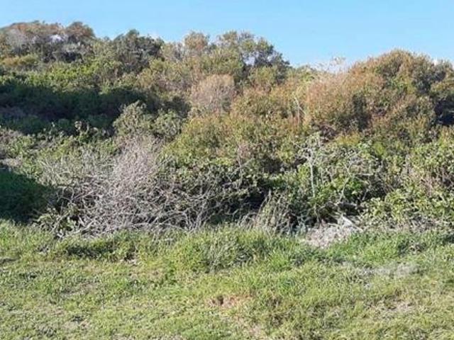 1 000 m² Land available in Seaview