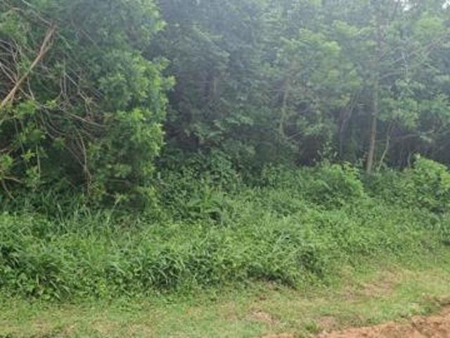 1 000 m² Land available in Southport