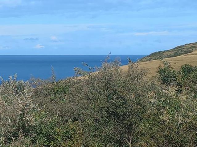 1 007 m² Land available in Haga