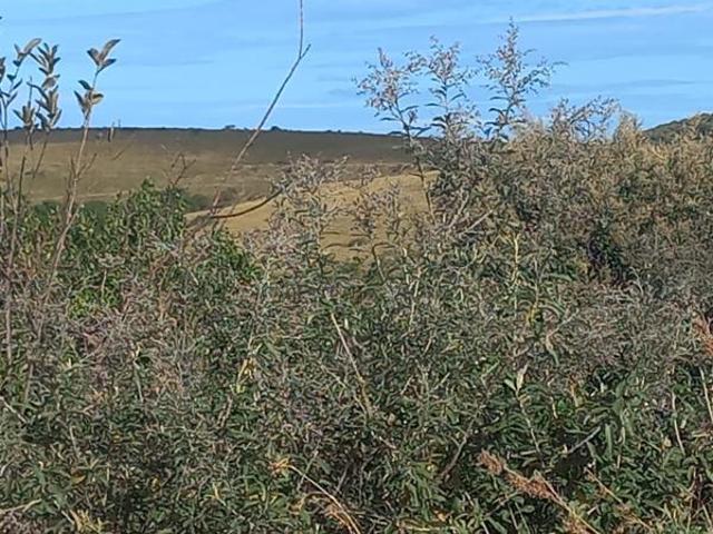 1 007 m² Land available in Haga
