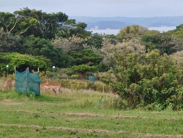 1 007 m² Land available in Khamanga Bay