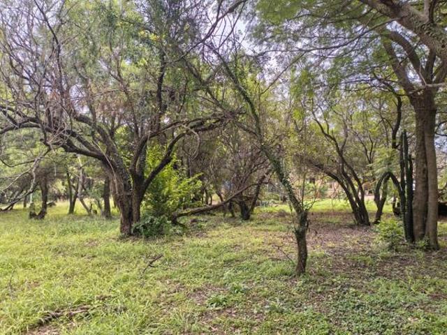 1 009 m² Land available in Wigwam