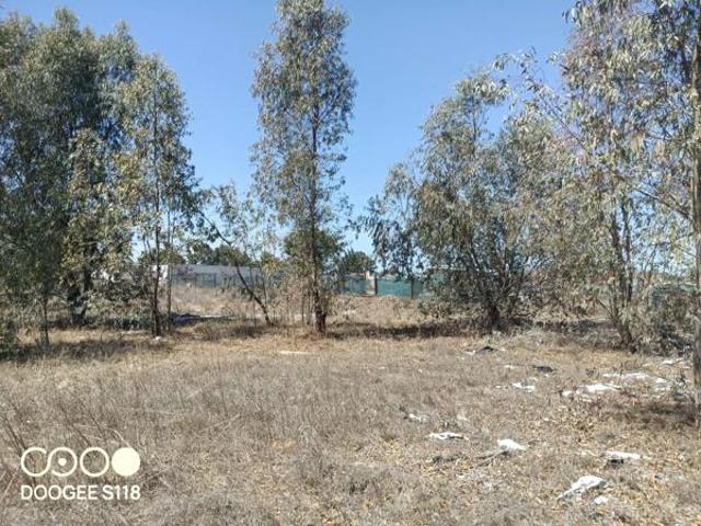 1 010 m² Land available in Kalbaskraal
