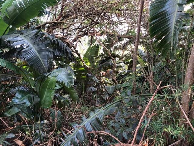 1 012 m² Land available in Leisure Bay